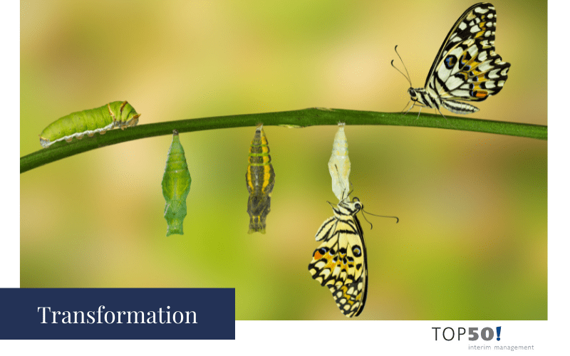 Umfangreiche Transformation der Unternehmens-IT